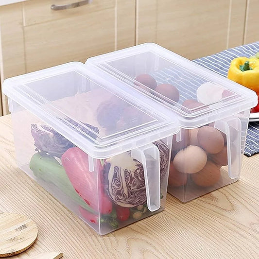 Food Storage Box With Lid and Handle
